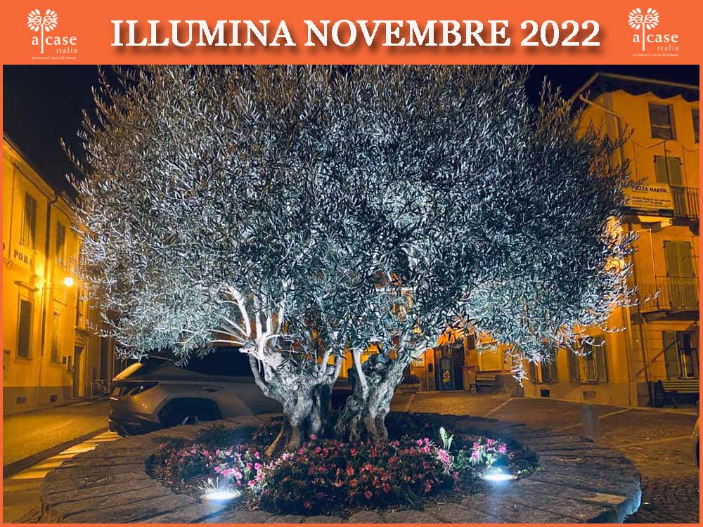 illumina novembre 2022 MIAGLIANO